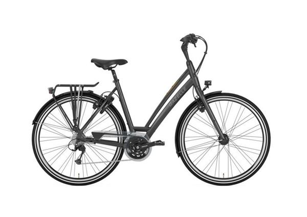 GAZELLE Chamonix S30 eclipse black mat