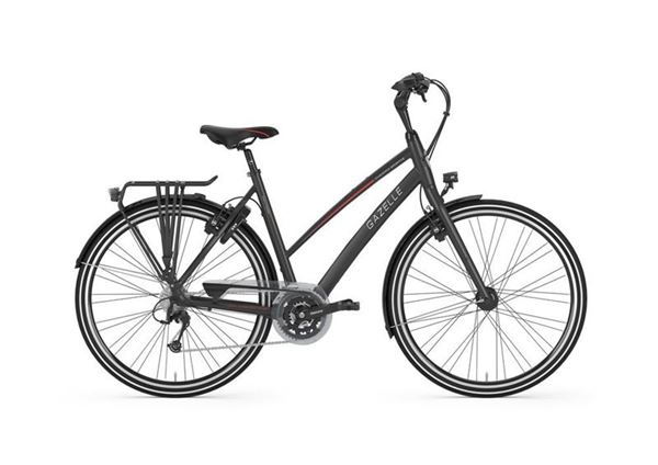 GAZELLE Chamonix S30 black mat