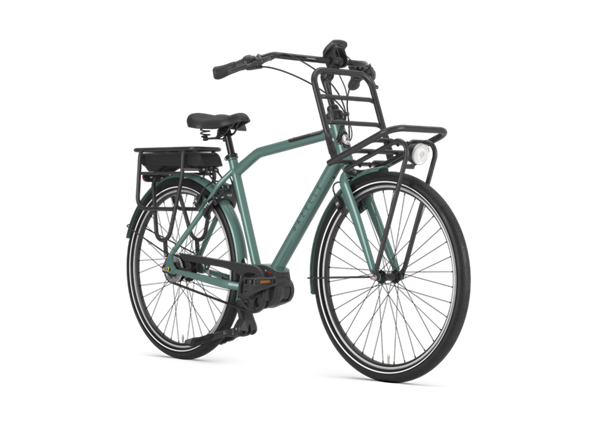 petrol night gazelle